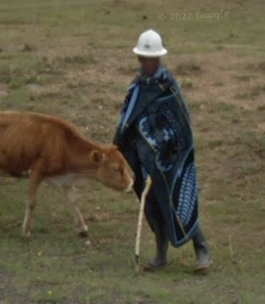 openguessr-education