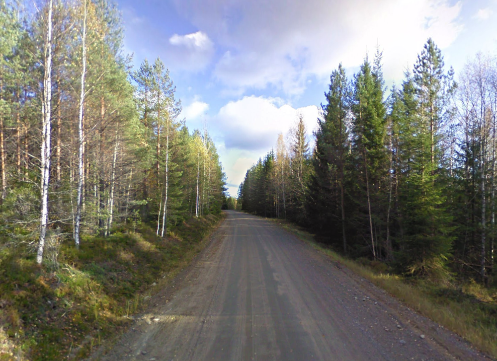 Dirt roads in forests