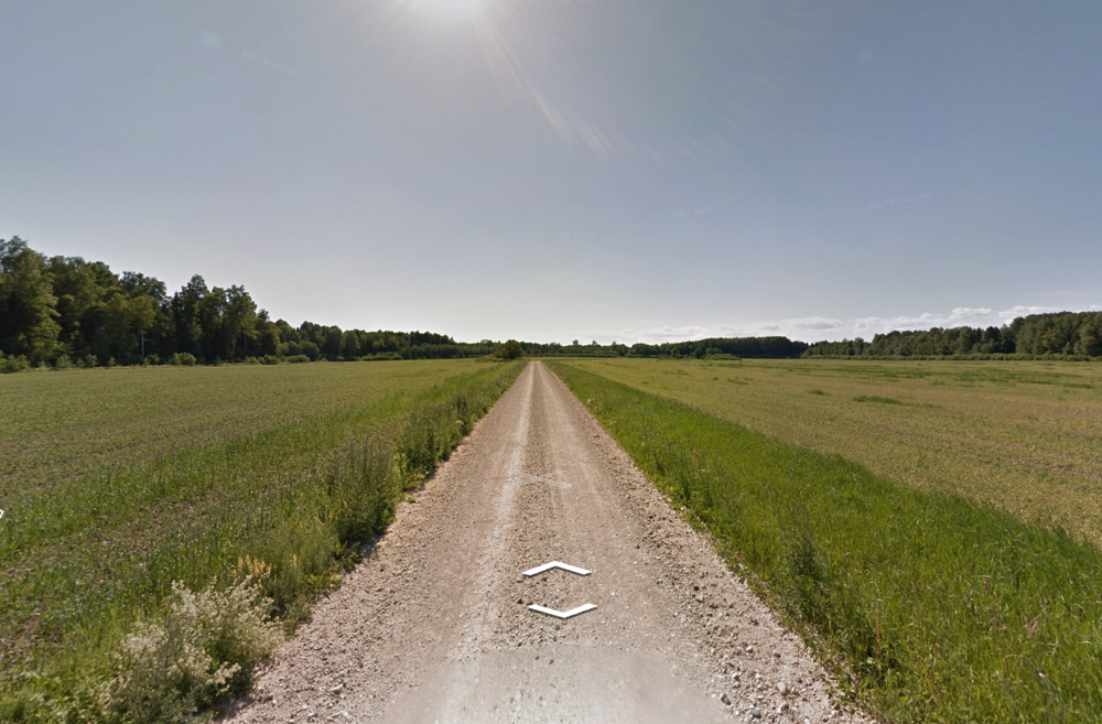 Dirtroad guess